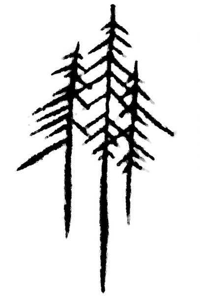 Kate Jayne Delmage, RMT, BA. 