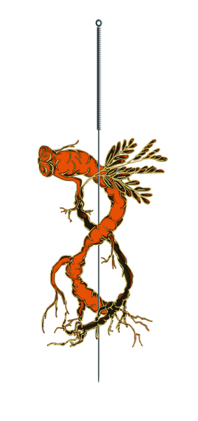 Bhawani P. Sinanan RTCMP, R.Ac